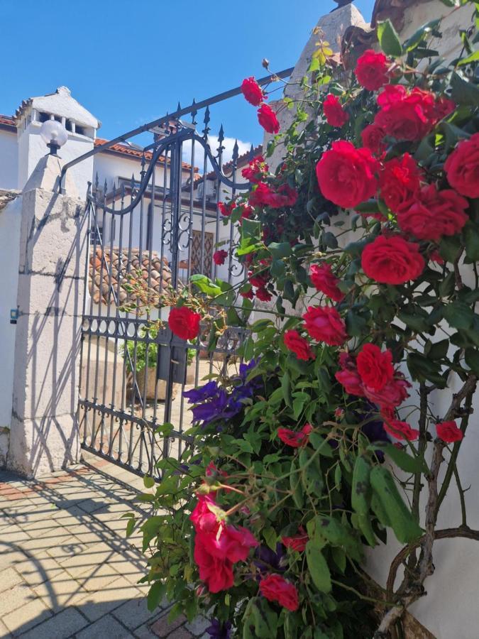 Guesthouse Villa Galovic Brseč Eksteriør billede